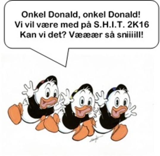 Bilde 1