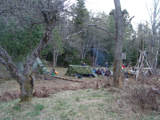 DSC06990