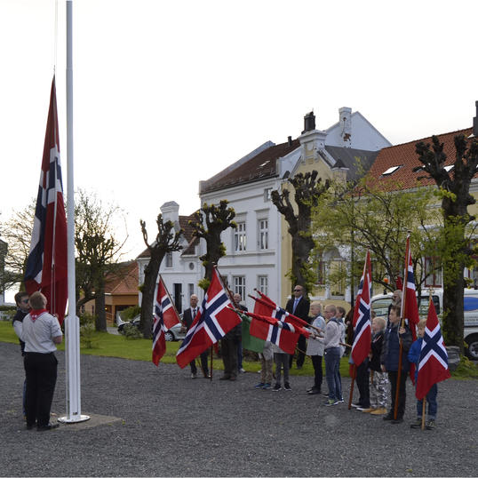 Flaggheis Biørnsborgparken 20150517