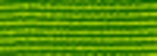 lederstripe_enhetsleder_50x18