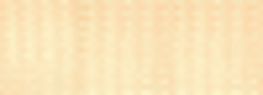 lederstripe_gruppeassistent_50x18