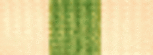 lederstripe_gruppeleder_50x18