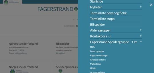 Ny hjemmeside #2